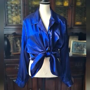 Gorgeous Vintage Allison Daley Iridescent Blue Buttin Down Blouse Plus Size